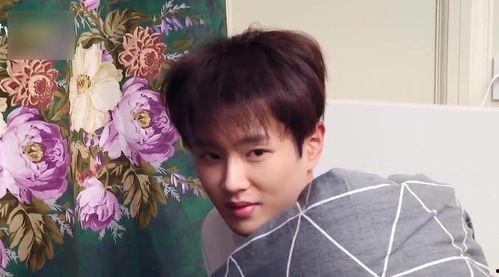 吃瓜合集娱乐圈范丞丞,娱乐圈吃瓜合集，揭秘明星背后的故事  第2张